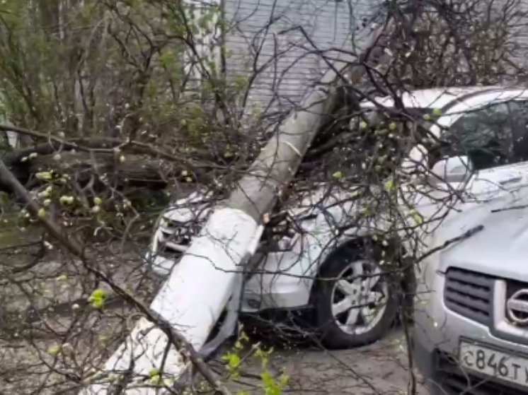 Крупное дерево и столб обрушились на автомобиль во дворе Подольска