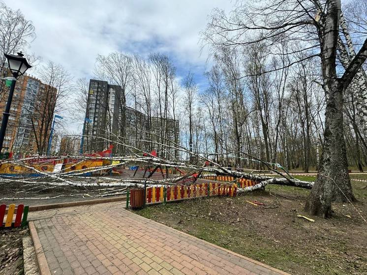 Девочка 2 лет, на которую упало дерево в Красногорске, умерла