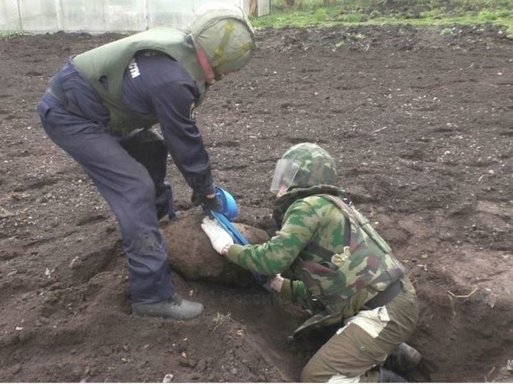 В Орловском округе нашли миномётную мину времён Великой Отечественной войны