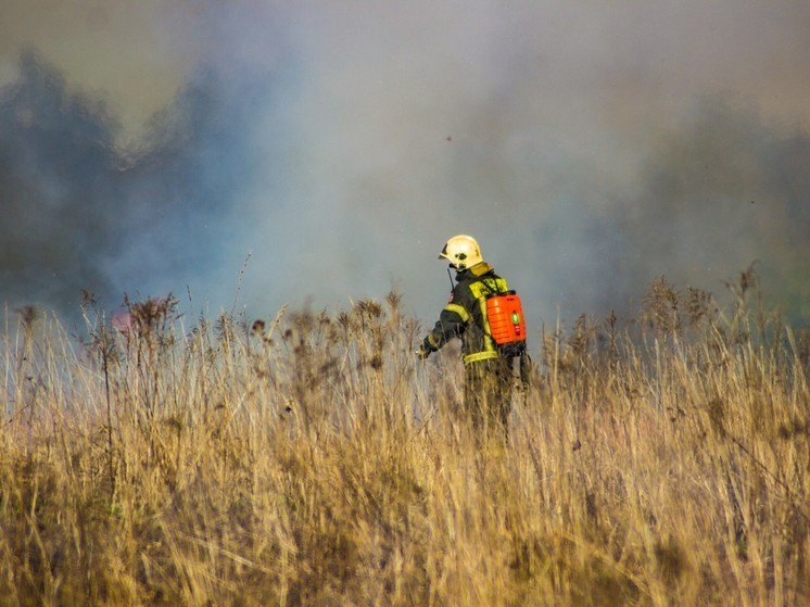 В администрации Тулы развеяли мифы о лесных пожарах