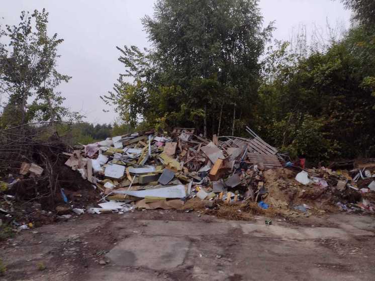 Тамбовский губернатор поручил разобраться с мусорными свалками до 4 мая