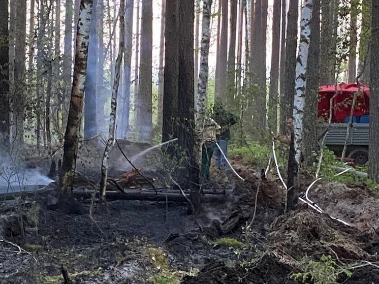 В лесах Марий Эл случились первые в этом году пожары