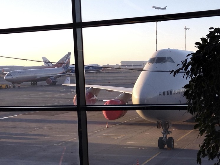 В Домодедово задержали мужчину, который украл кольцо пассажирки