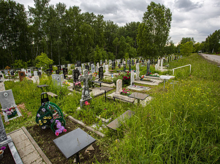 В Омске кладбища перед Радоницей обработают от клещей