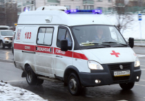 В Санкт-Петербурге 16-летнюю девочку экстренно госпитализировали в больницу в тяжелом состоянии из квартиры с антисанитарией