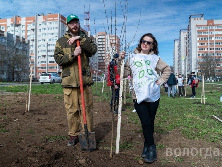 100 саженцев березы высадили в Вологде в рамках экофорума