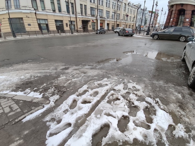 Потепление в Томске и области начнётся с 26 апреля