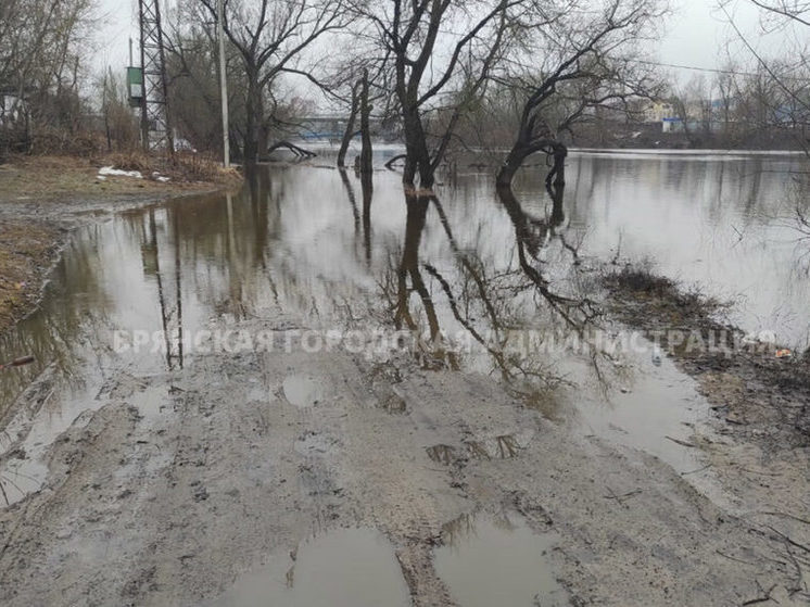 1200 заявлений на компенсацию из-за паводка подали жители Брянска