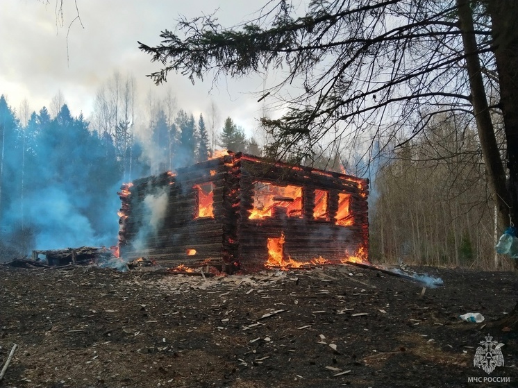 Деревянный дом сгорел в пустой деревне в Нюксенском округе
