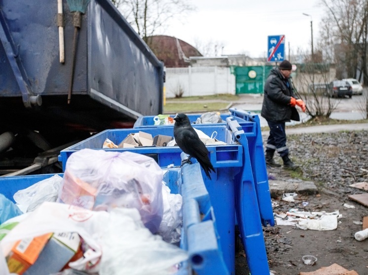 Псковское областное Собрание будет рекомендовать правительству Псковской области проработать вопрос замены регионального оператора по вывозу твердых коммунальных отходов