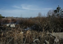 22 апреля возле села Киприно Невьянского городского округа загорелась сухая растительность