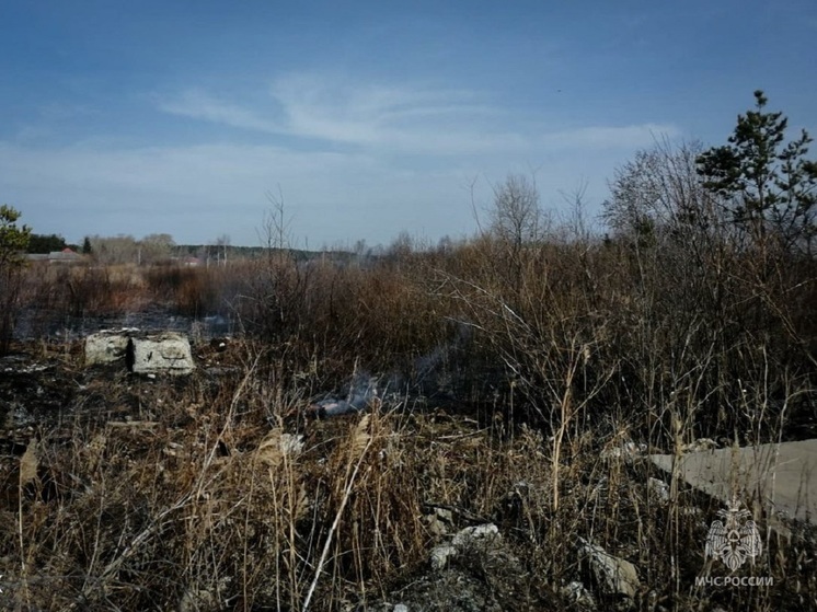 Пожар возле леса устроили в Свердловской области