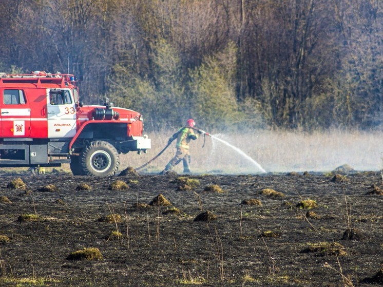 Тулякам заплатят 10 тысяч рублей за сообщения о поджигателях травы