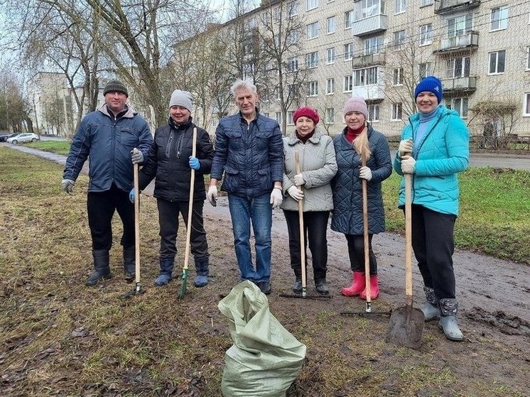 Всероссийский субботник пройдет на 510 территориях в Ленобласти