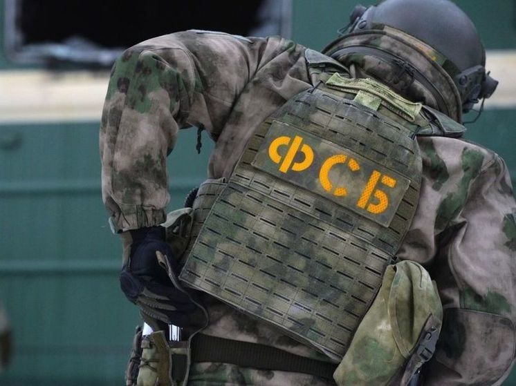 ФСБ предотвратила подготовку диверсии в Брянске