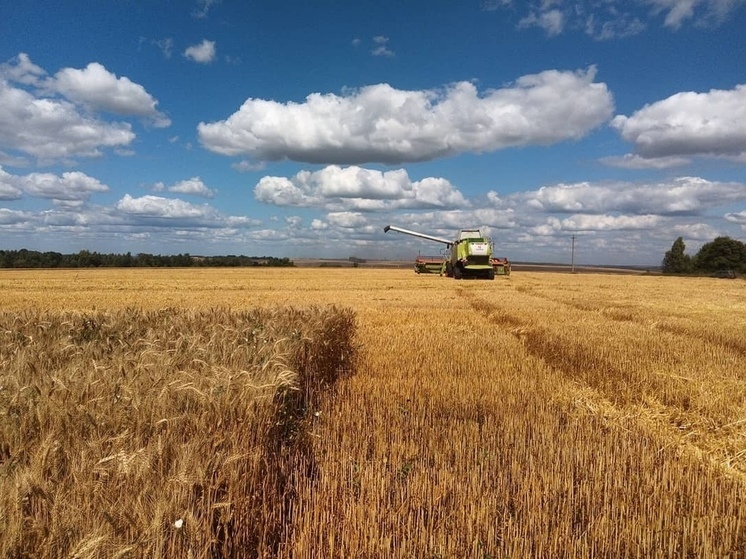 2,7 млн тонн зерновых культур собрали в Тульской области в 2023 году