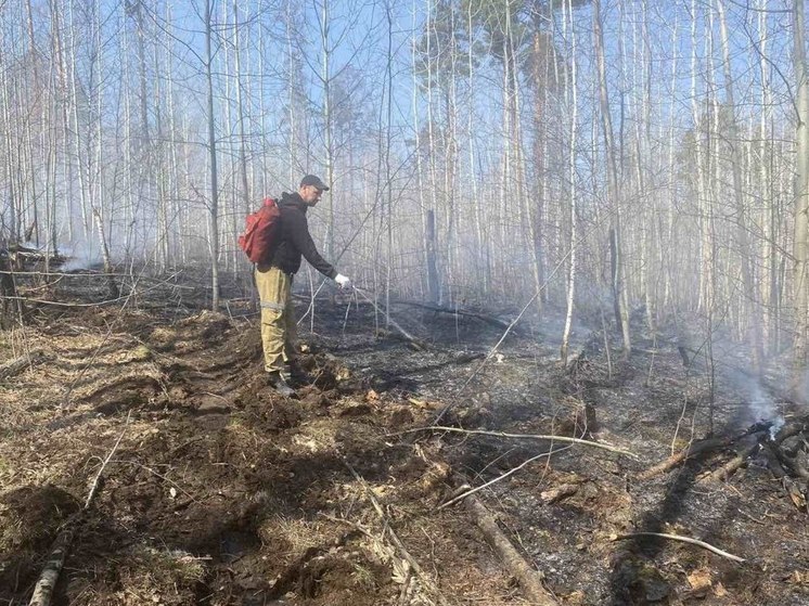 В Иркутской области ликвидированы два лесных пожара