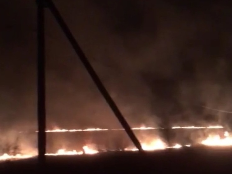 В Ярославской области из-за пала травы чуть не сгорела деревня