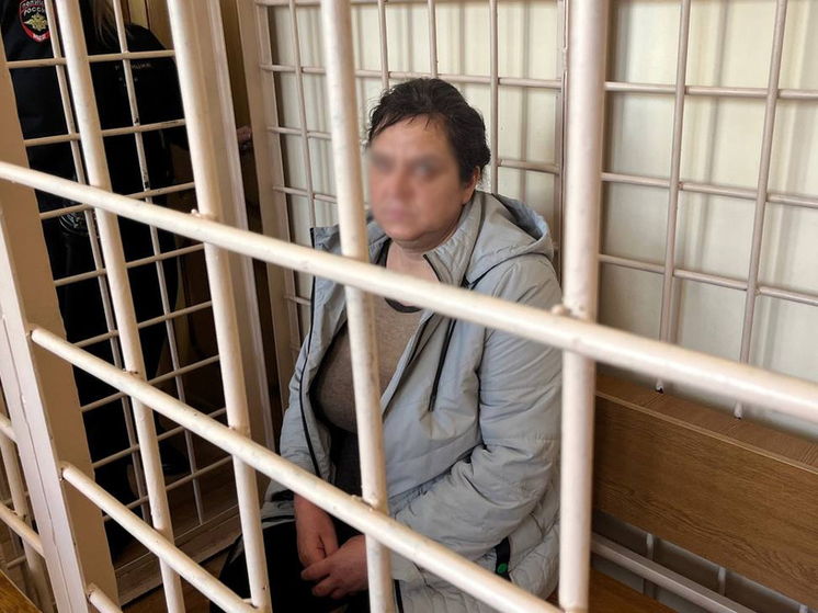 В Курске арестовали обвиняемую в жестоком избиении 11-месячной девочки