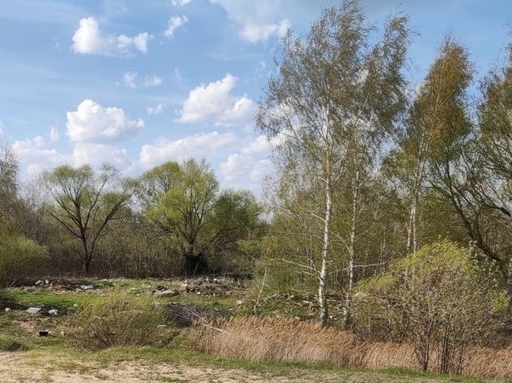 Свалку в районе Кузьмина оврага в Рязани ликвидируют за два года