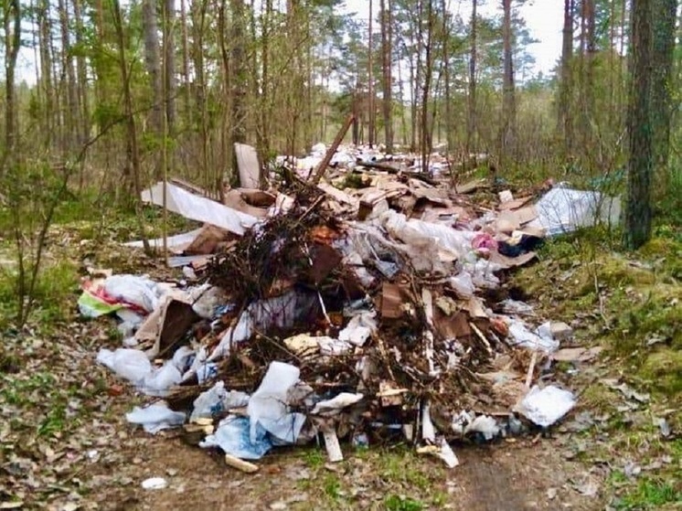 Мужчину, который выгрузил строительный мусор в лесу, вычислили в Псковском районе