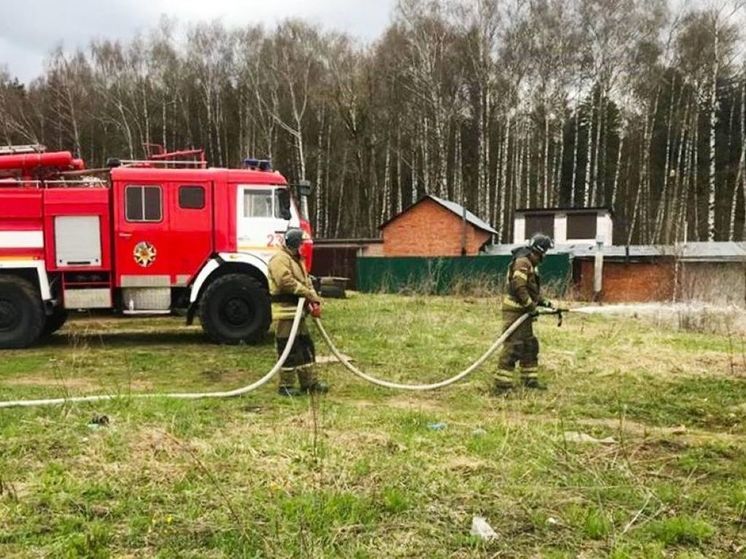 В Пушкинском округе загорелось поле вблизи частных домов