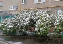 В Свердловской области с 24 по 25 апреля ожидаются порывы ветра до 16 метров в секунду, гололед и дождь со снегом