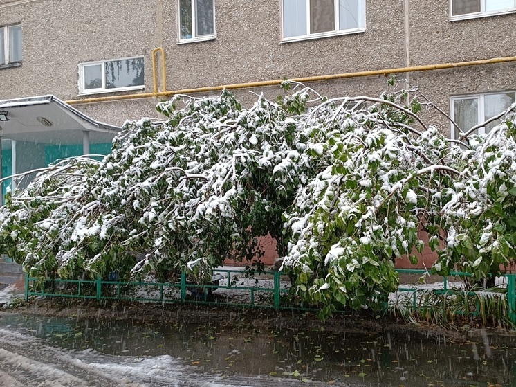 МЧС предупреждает о дожде со снегом и гололеде в Свердловской области