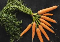 Чтобы урожай моркови и свеклы был богатым, важно вовремя посеять семена
