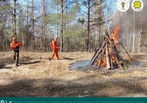 В лесах региона активно проходят учения по борьбе с масштабными лесными пожарами