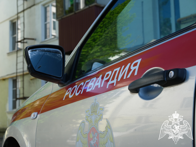 Росгвардейцы задержали жителя Курска за пьяный дебош в поликлинике