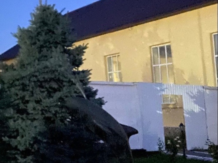 В Оренбуржье ситуацию в колонии «Черный дельфин» взял на контроль Анатолий Чадов