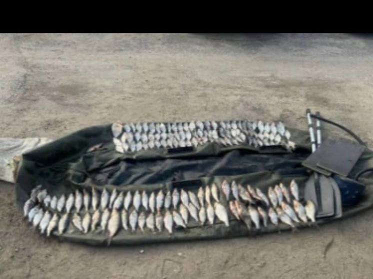 В Смоленской области возбуждено уголовное дело о незаконной добыче рыбы