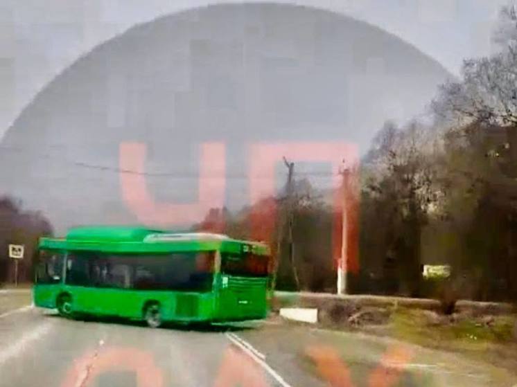 В Анивском районе зеленый автобус чуть не врезался в груженый КамАЗ