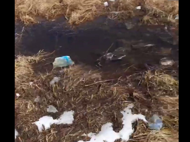 Турсабаев показал видео с мусорными «подснежниками» на ручье в Чите
