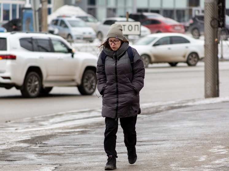 24 апреля станет самым холодным днём весны 2024 года в Новосибирске
