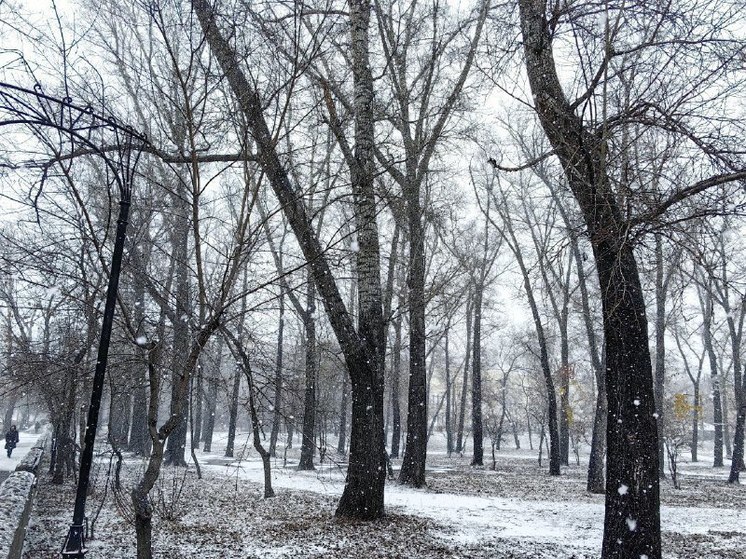 В Хакасии ожидаются снежные сутки