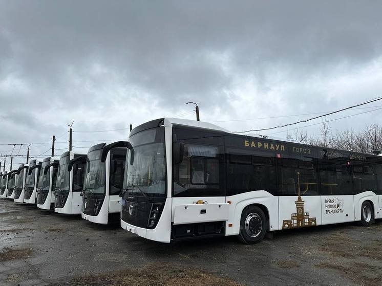 В Барнауле началась обкатка новых автобусов большого класса