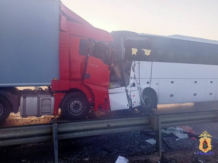 Один человек погиб и 13 пострадали в ДТП с автобусом на трассе под Рязанью