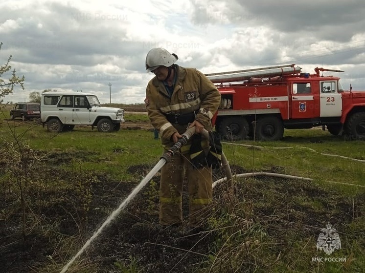 На Орловщине горение сухой травы стало поводом к административному расследованию