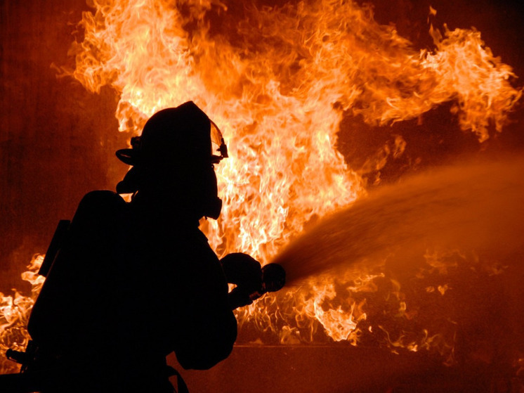 Рано утром 24 апреля во время пожара в Родниках погибли два человека