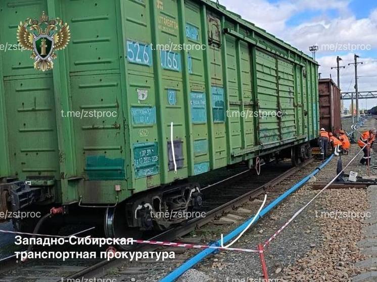 В Алтайском крае вагон грузового поезда сошел с рельсов