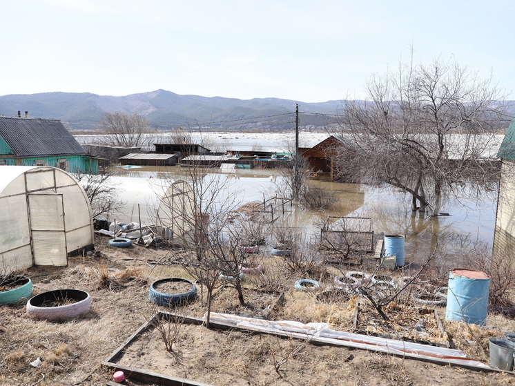 В Улан-Удэ территории, попавшие под паводки, пройдут санитарную обработку