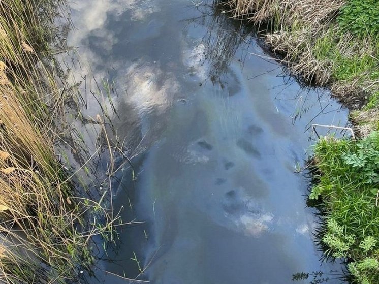 В Курске выяснят причину загрязнения реки Тускарь