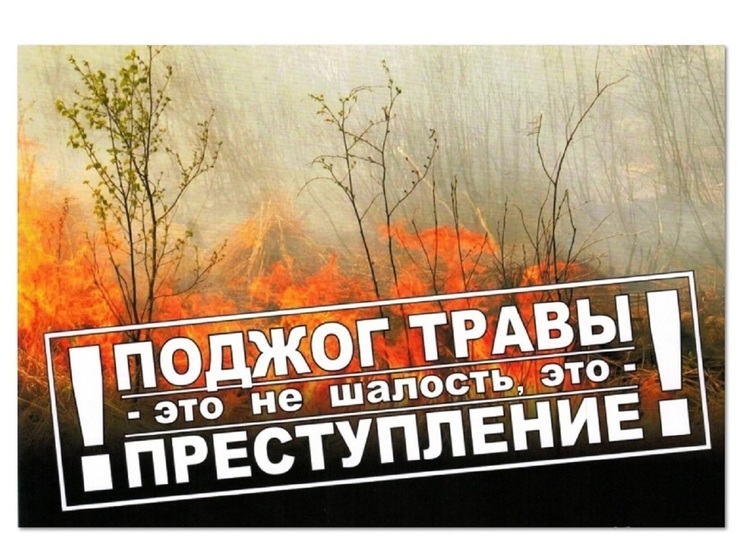 За апрель в Костромской области задержали 10 поджигателей