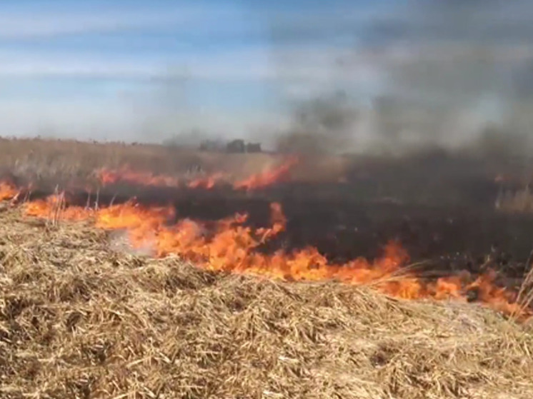 23 апреля пожарные Ивановской области 12 раз выезжали тушить горящую траву