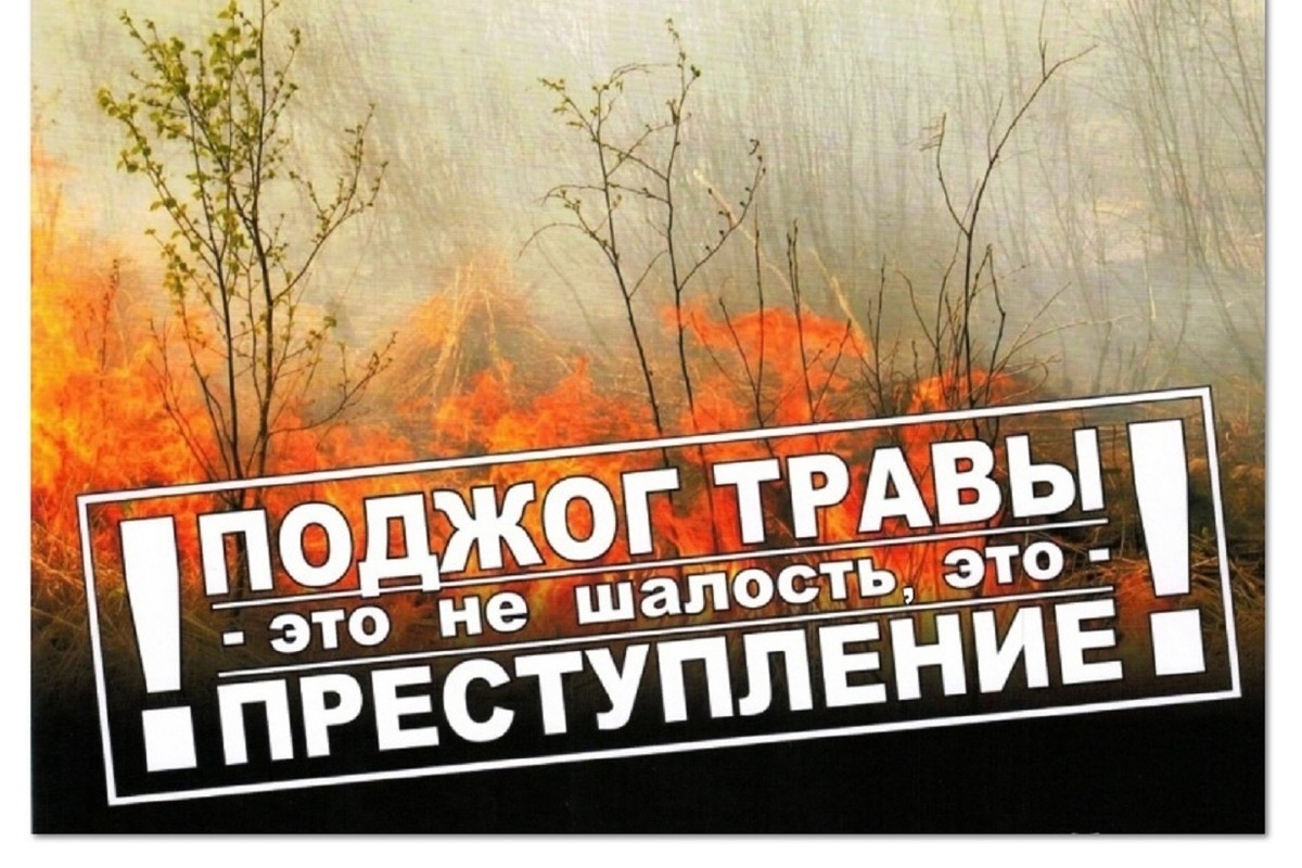 За апрель в Костромской области задержали 10 поджигателей