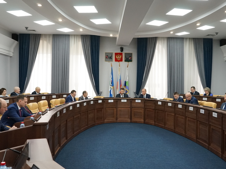 На депутатских слушаниях в думе Иркутска обсудили строительство соцобъектов