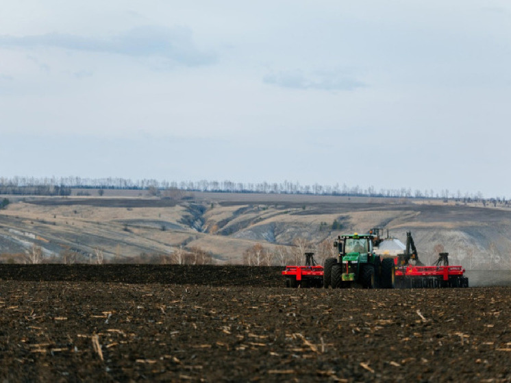 Белгородские аграрии завершают сев яровой пшеницы