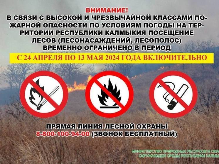 В Калмыкии запретили въезд на земли лесного фонда из-за рано наступившего лета